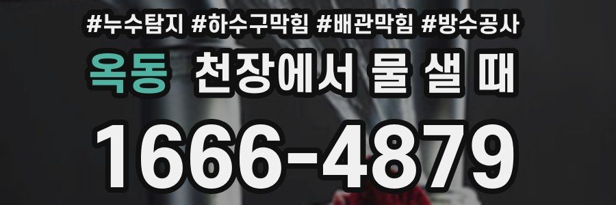 옥동 천장에서 물 샐 때