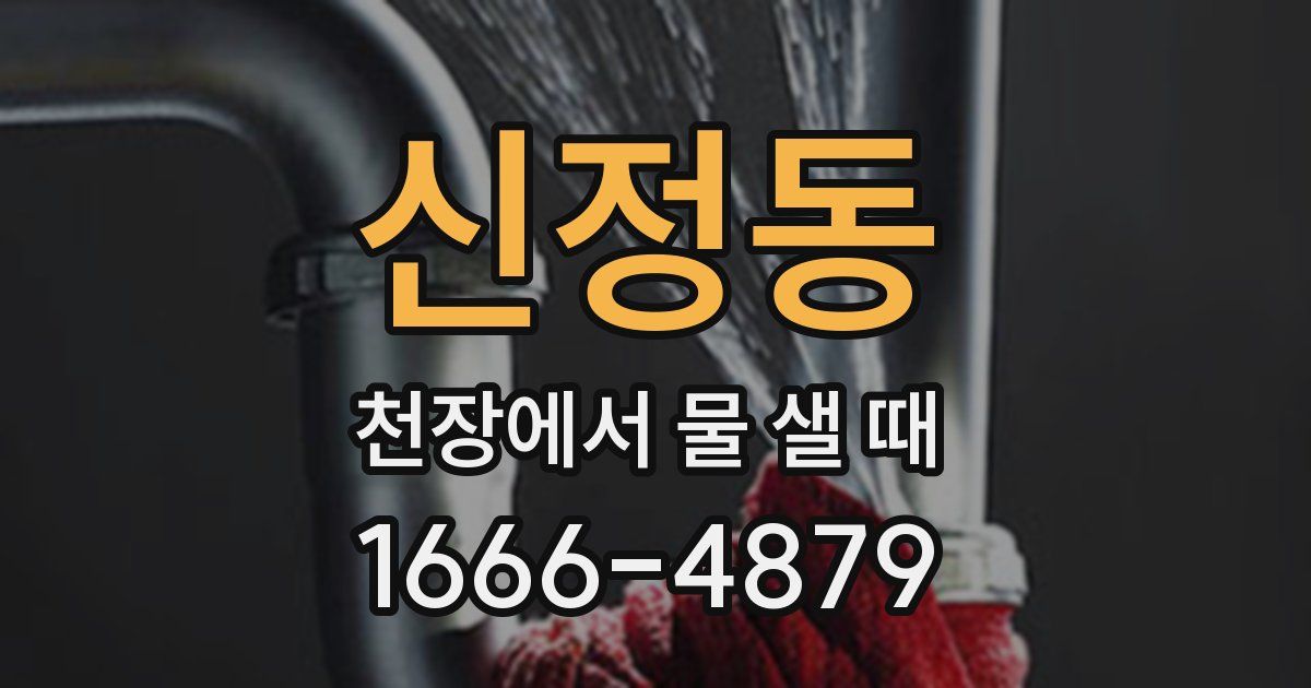 신정동 천장에서 물 샐 때