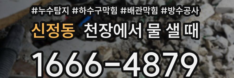 신정동 천장에서 물 샐 때
