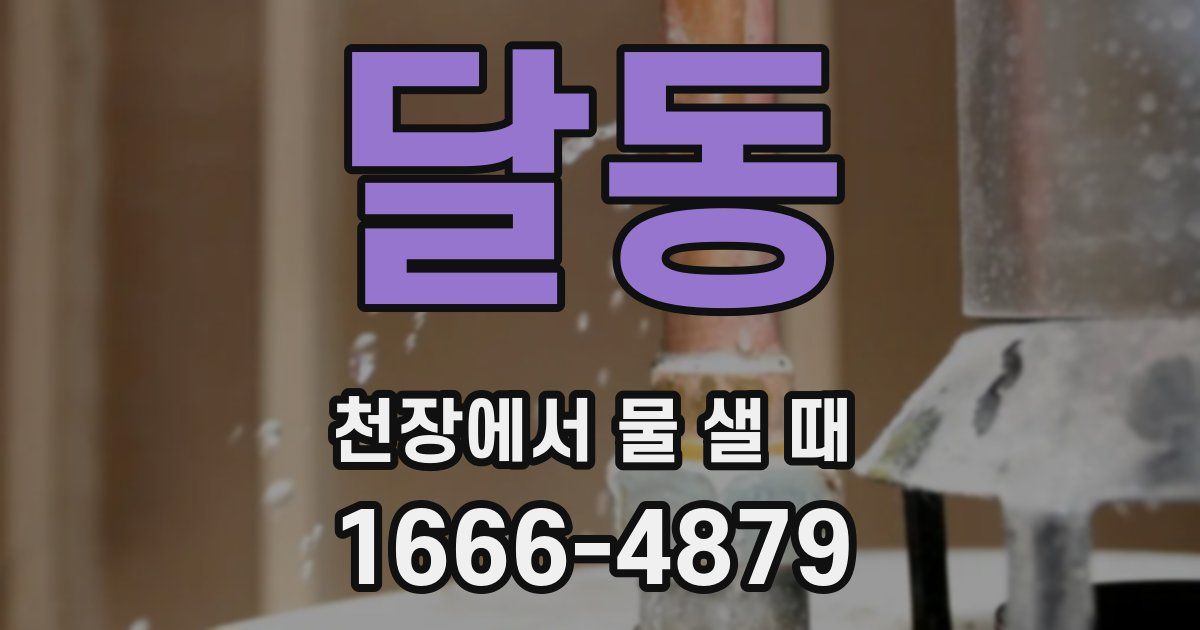 달동 천장에서 물 샐 때