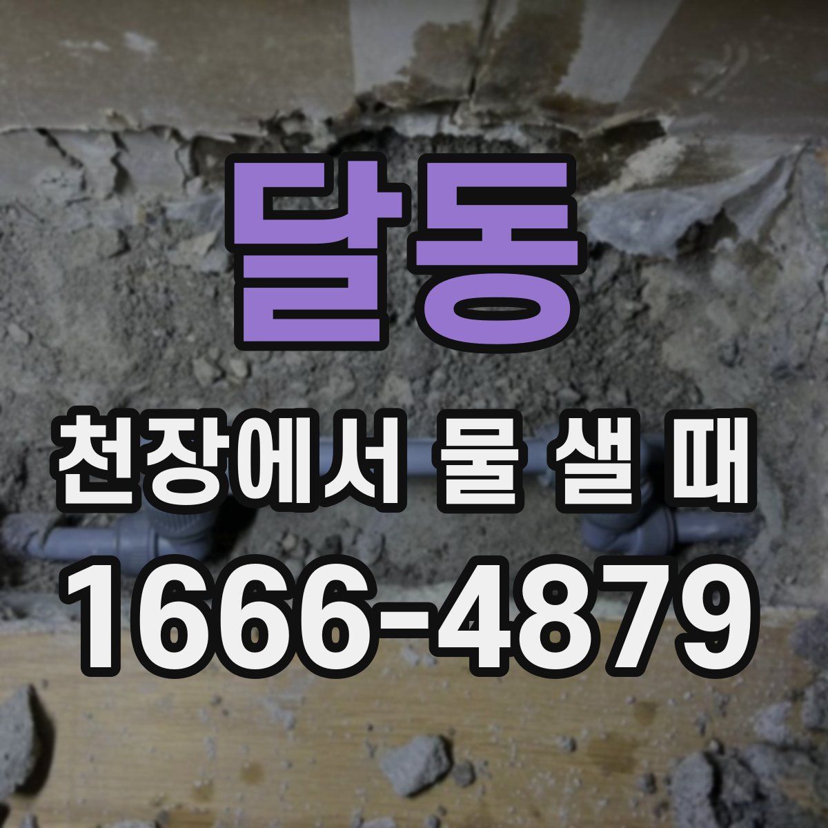 달동 천장에서 물 샐 때