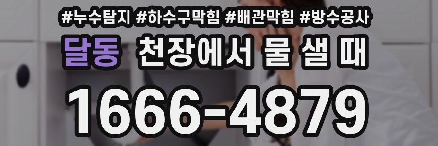 달동 천장에서 물 샐 때