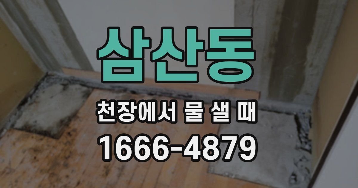 삼산동 천장에서 물 샐 때