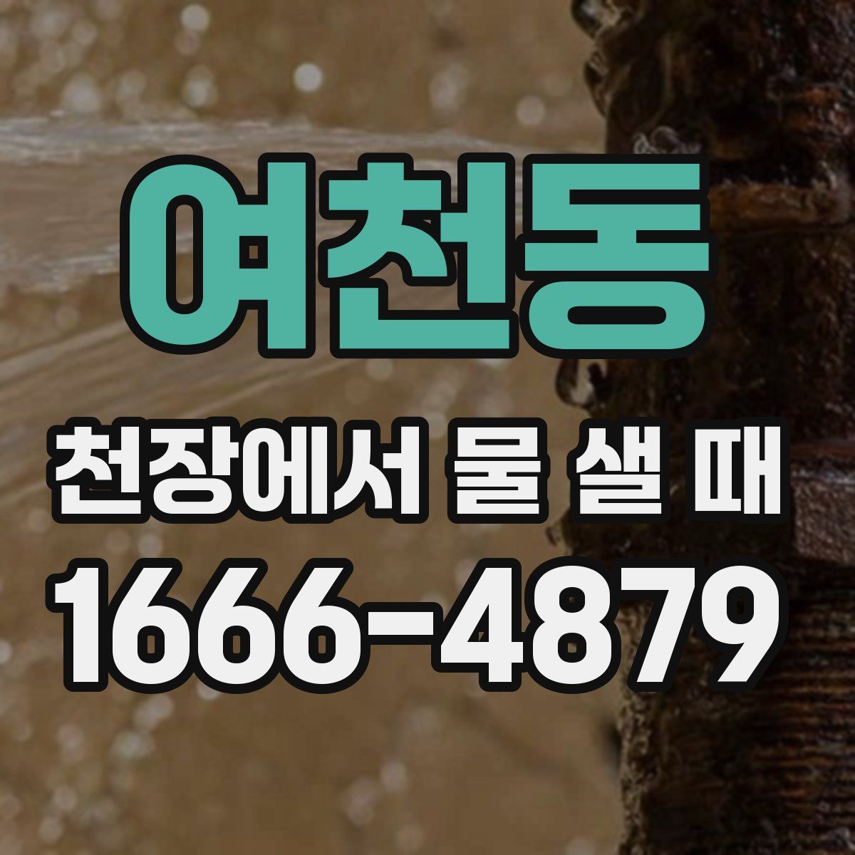 여천동 천장에서 물 샐 때