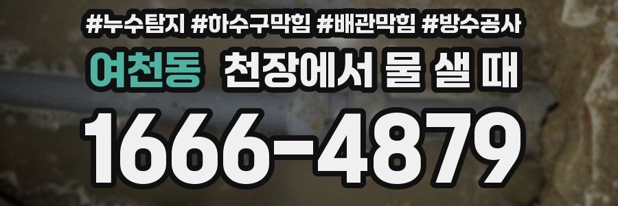 여천동 천장에서 물 샐 때