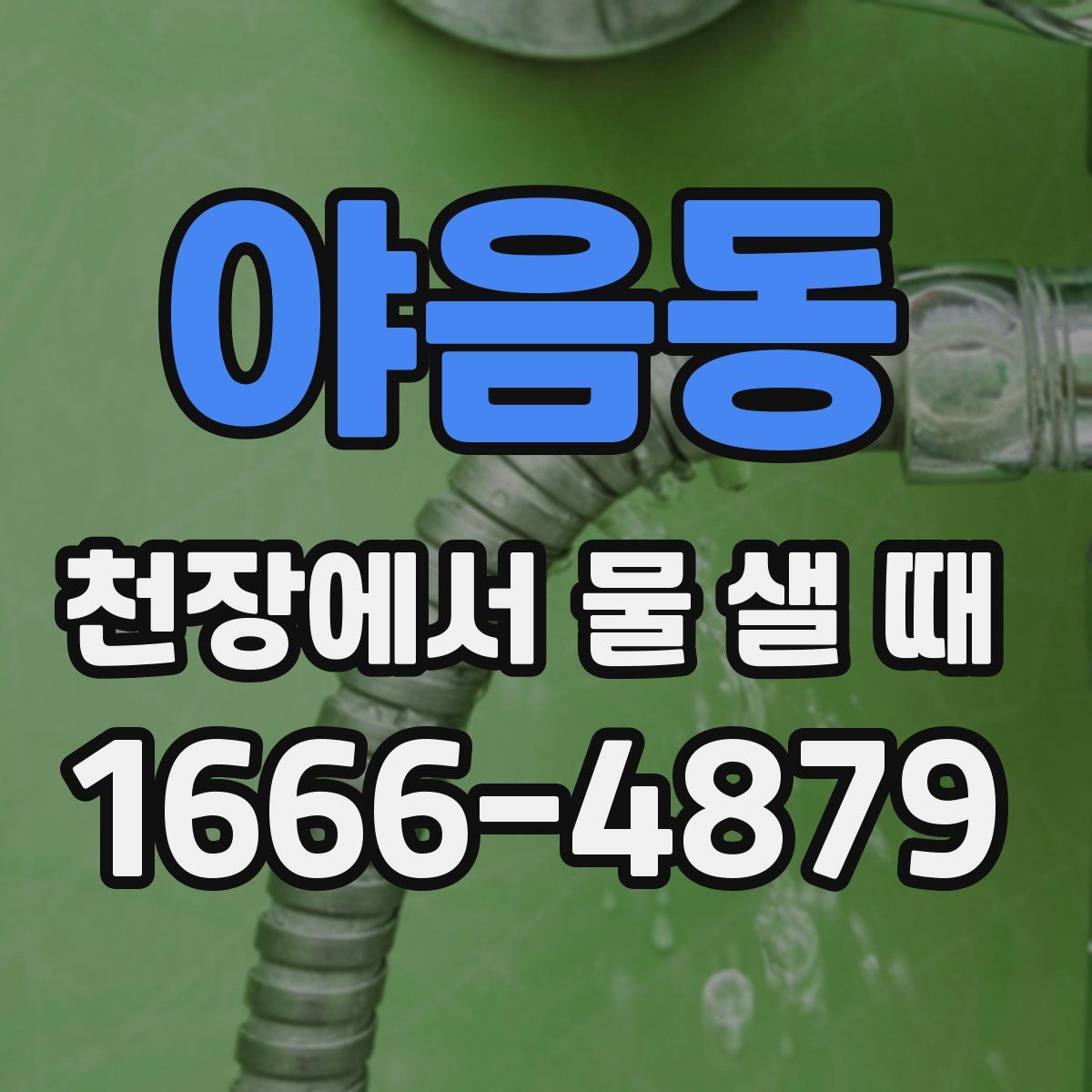 야음동 천장에서 물 샐 때