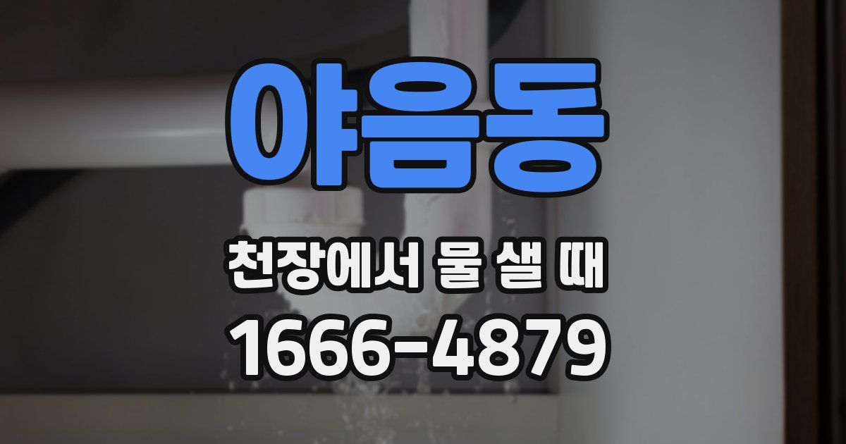 야음동 천장에서 물 샐 때