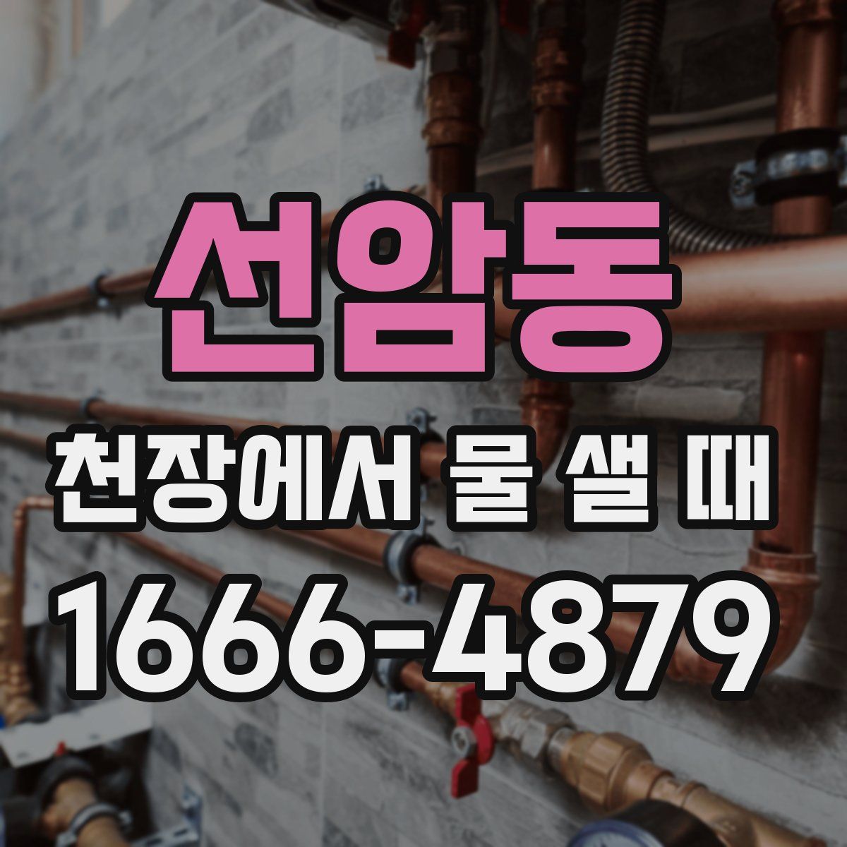 선암동 천장에서 물 샐 때