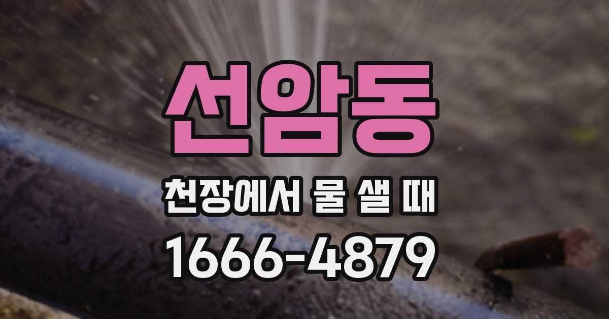 선암동 천장에서 물 샐 때