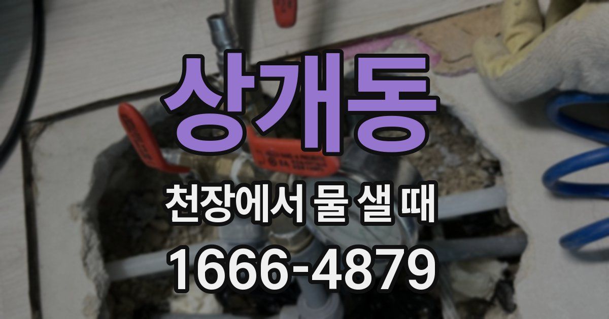 상개동 천장에서 물 샐 때