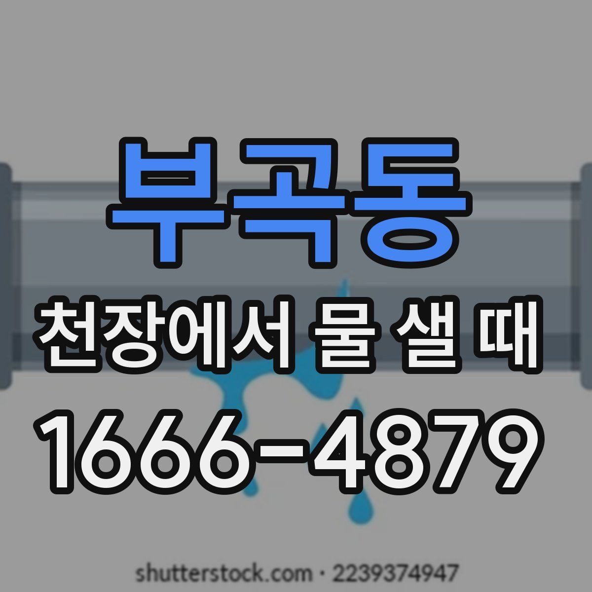 부곡동 천장에서 물 샐 때