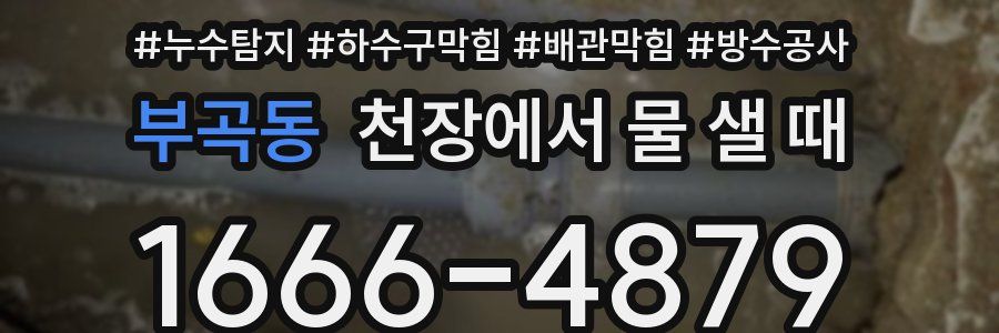 부곡동 천장에서 물 샐 때