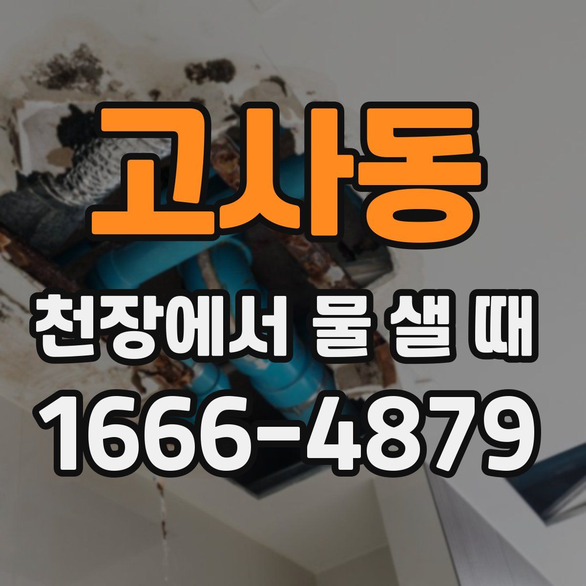 고사동 천장에서 물 샐 때