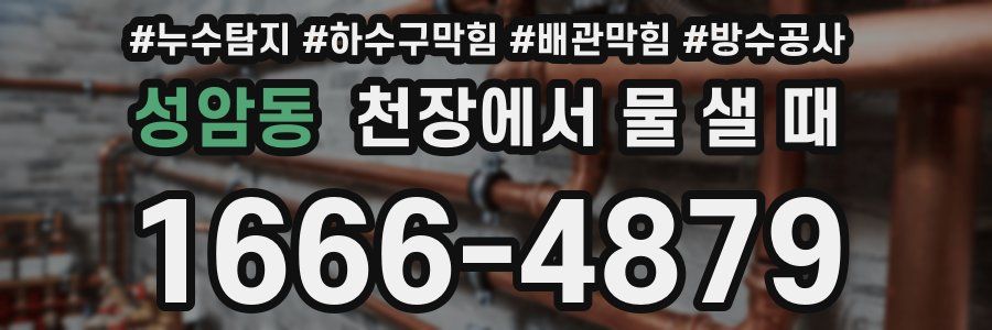 성암동 천장에서 물 샐 때