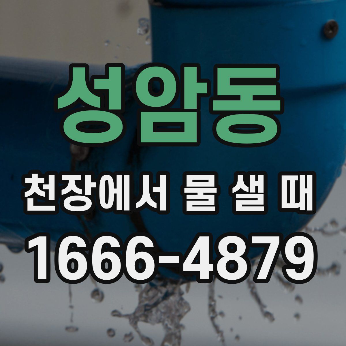 성암동 천장에서 물 샐 때