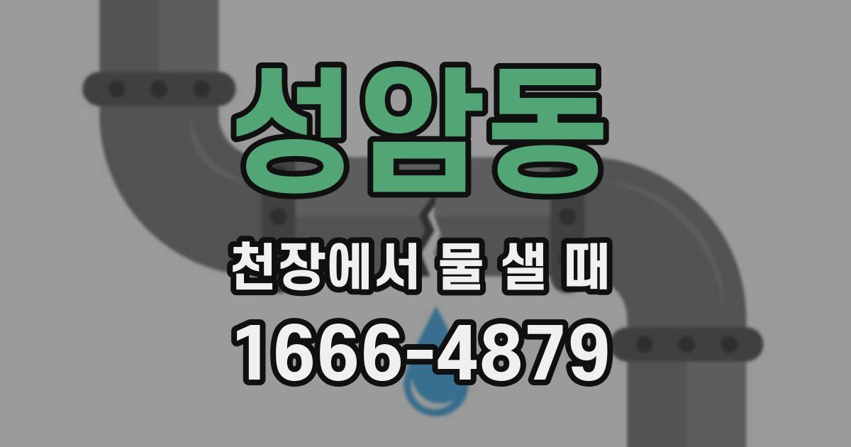 성암동 천장에서 물 샐 때