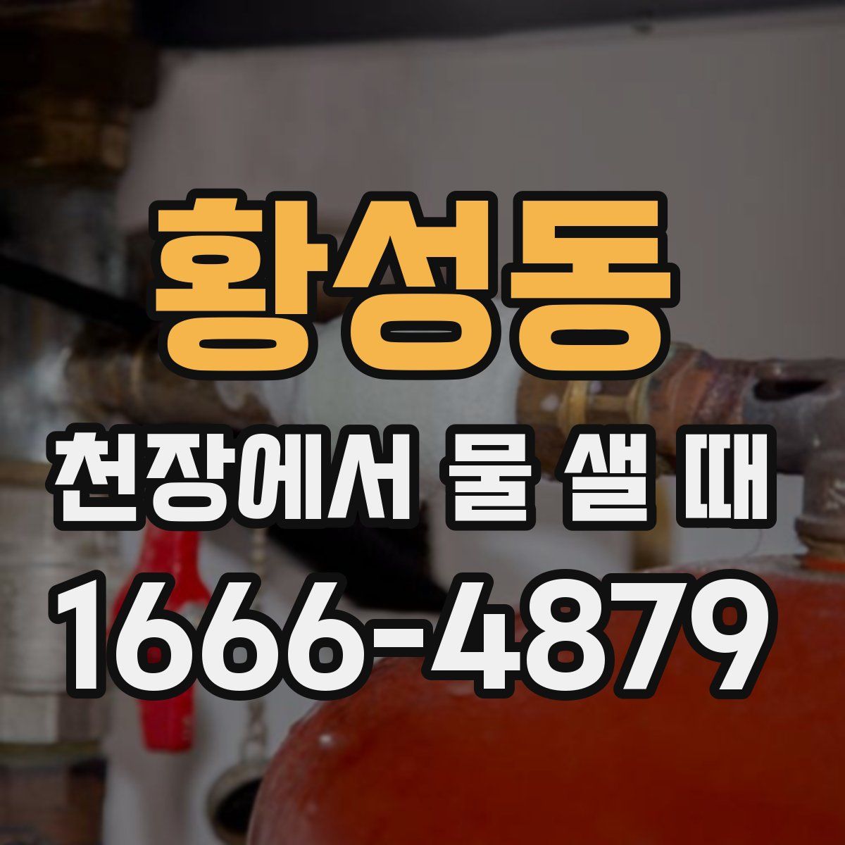 황성동 천장에서 물 샐 때