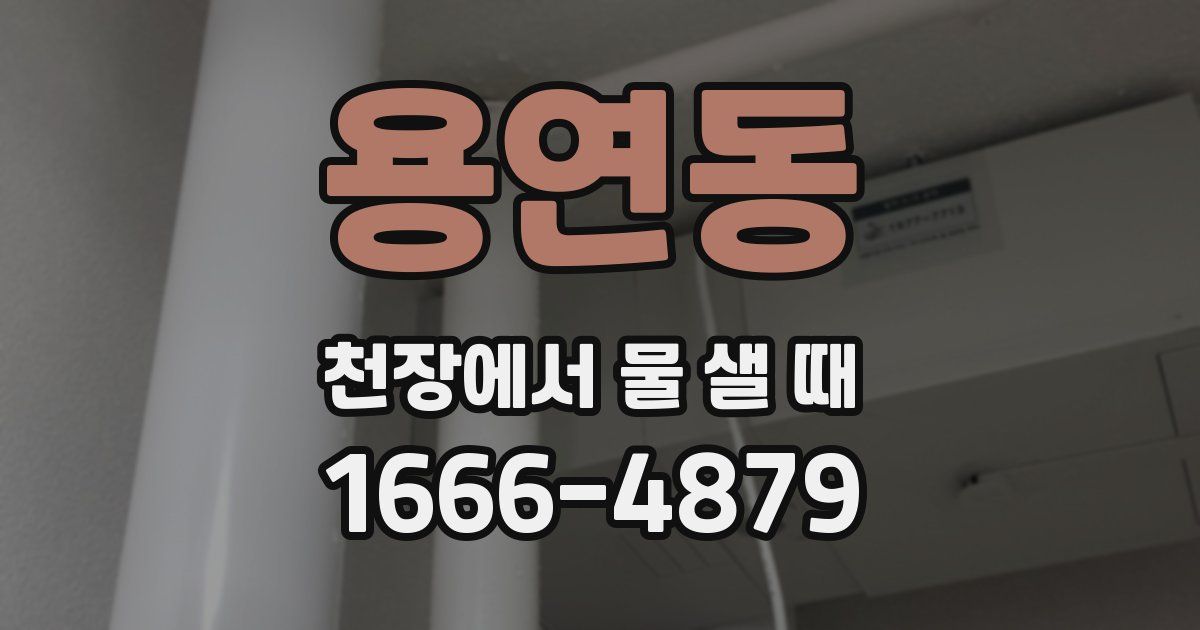 용연동 천장에서 물 샐 때