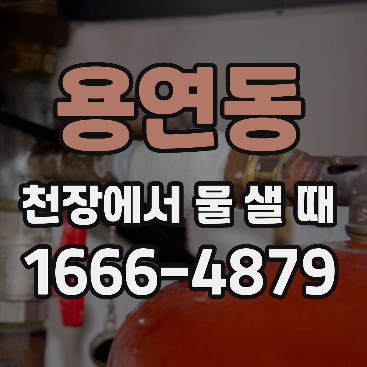 용연동 천장에서 물 샐 때