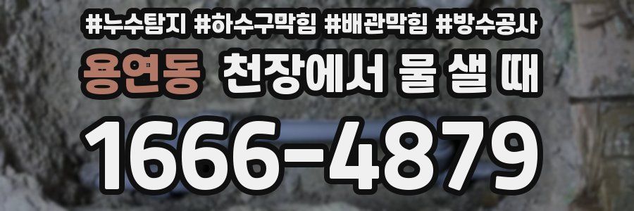 용연동 천장에서 물 샐 때