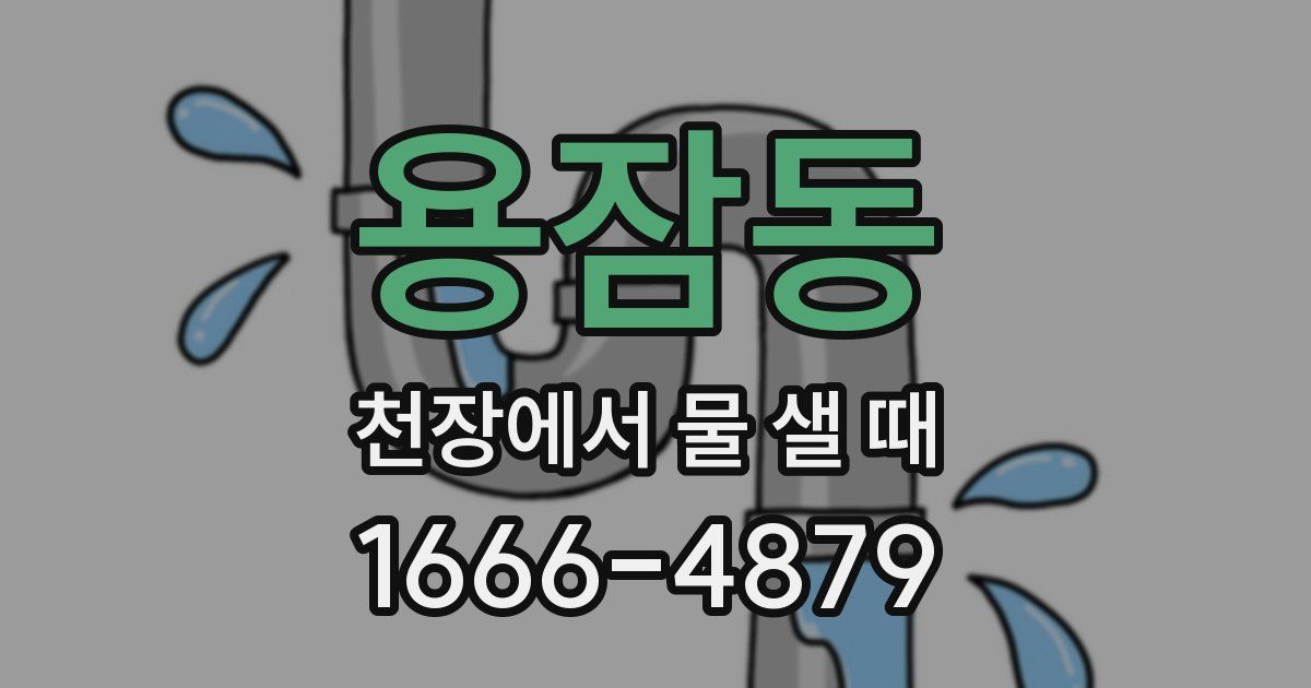 용잠동 천장에서 물 샐 때