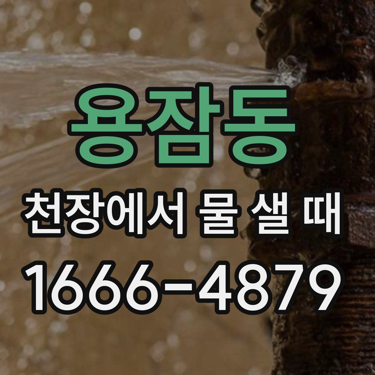 용잠동 천장에서 물 샐 때