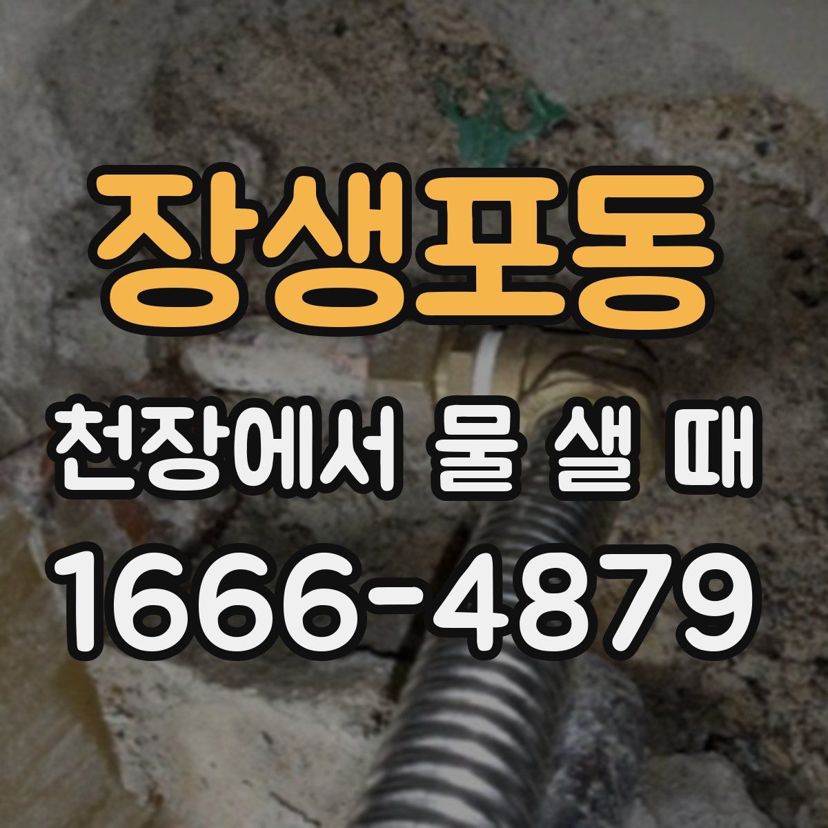 장생포동 천장에서 물 샐 때