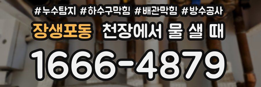 장생포동 천장에서 물 샐 때