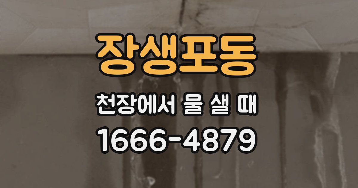 장생포동 천장에서 물 샐 때