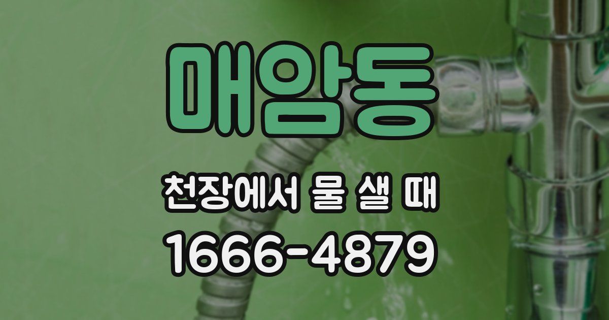 매암동 천장에서 물 샐 때