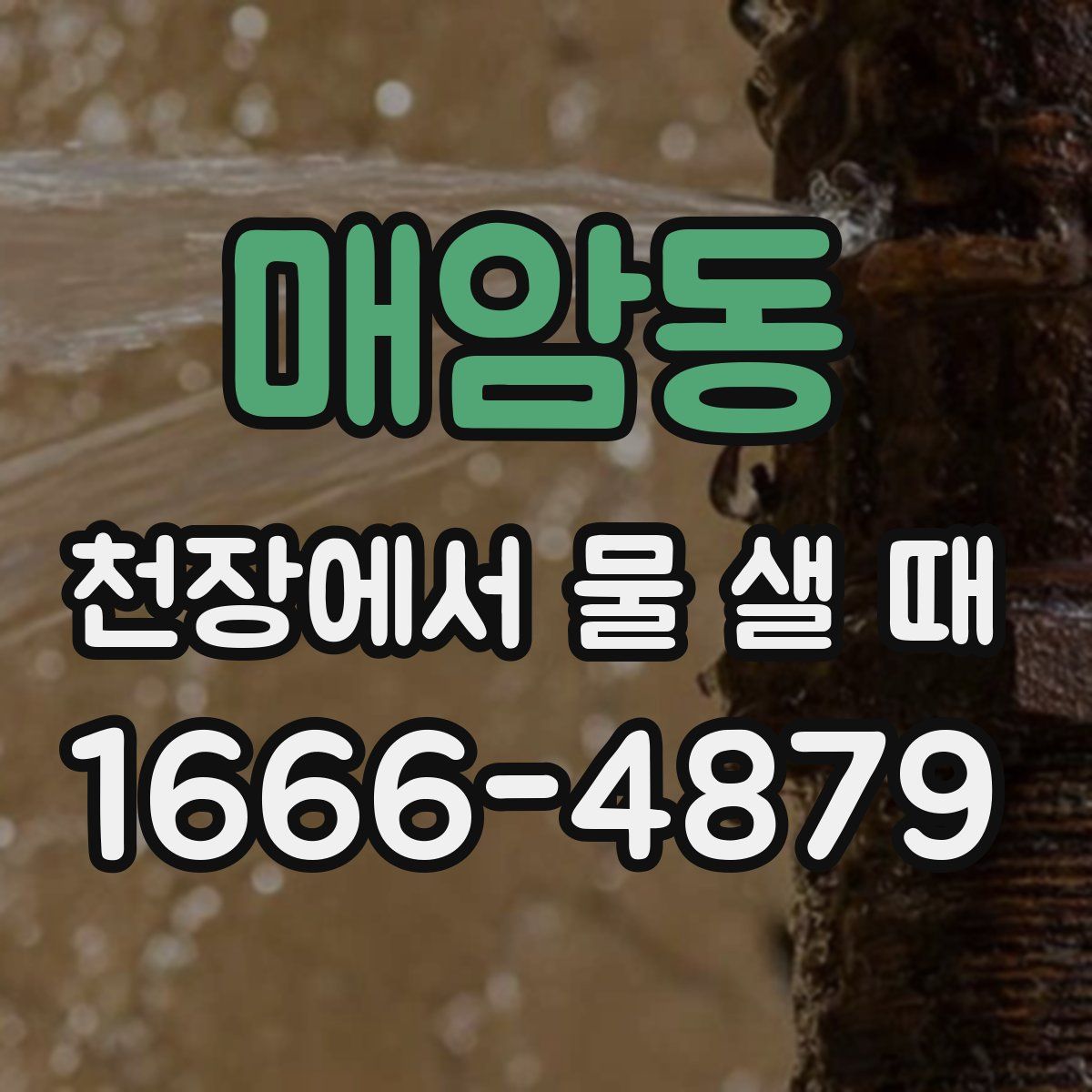 매암동 천장에서 물 샐 때