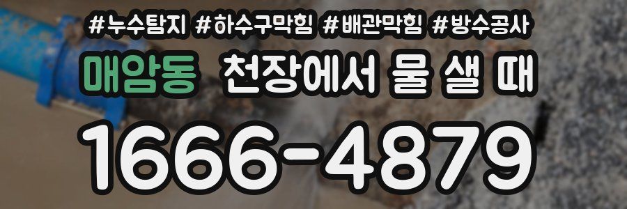 매암동 천장에서 물 샐 때