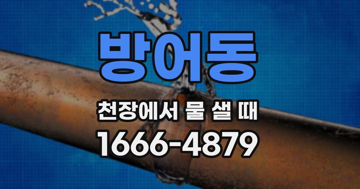 방어동 천장에서 물 샐 때