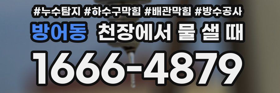 방어동 천장에서 물 샐 때