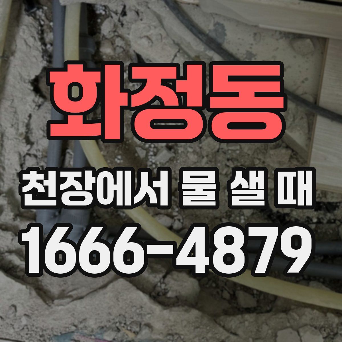 화정동 천장에서 물 샐 때