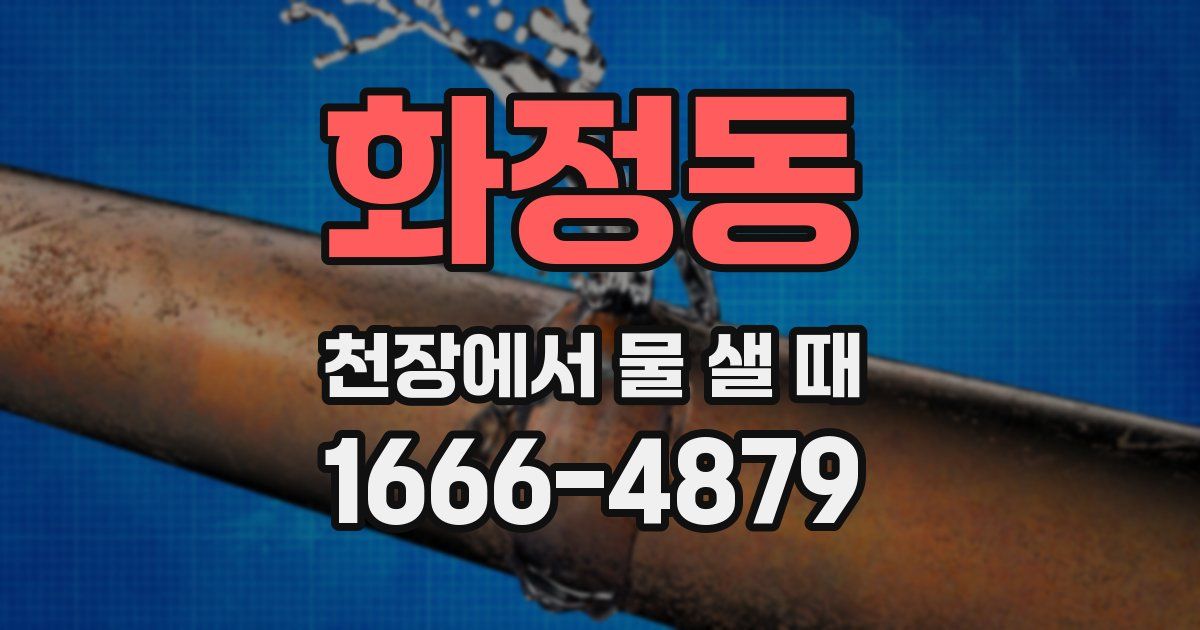 화정동 천장에서 물 샐 때
