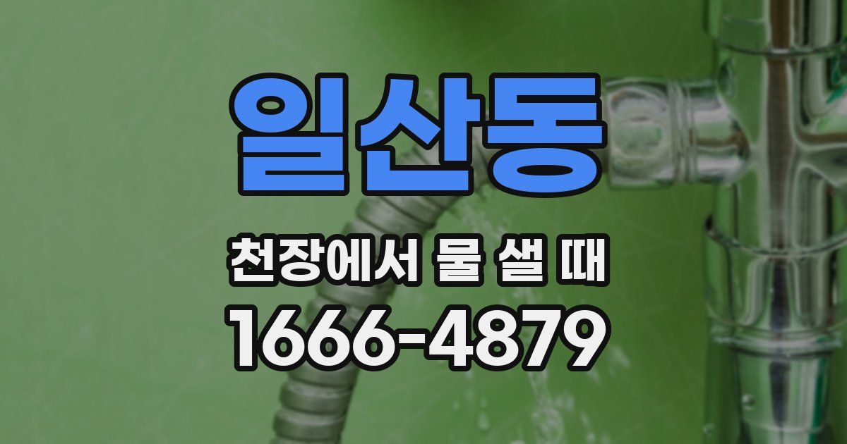 일산동 천장에서 물 샐 때
