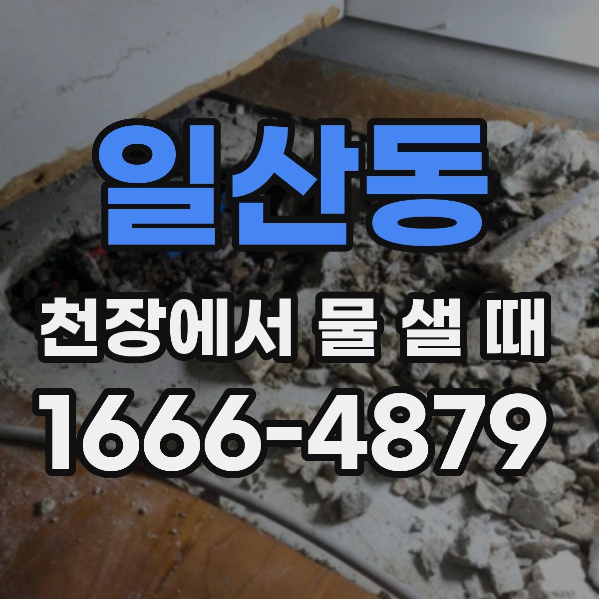 일산동 천장에서 물 샐 때