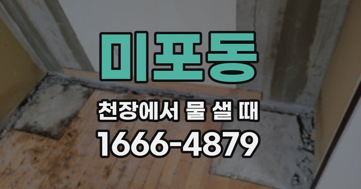 미포동 천장에서 물 샐 때