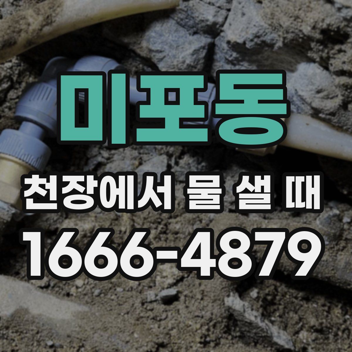 미포동 천장에서 물 샐 때
