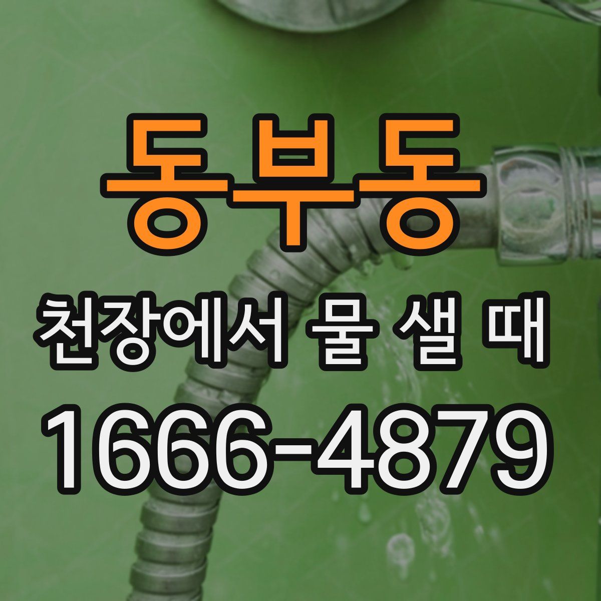 동부동 천장에서 물 샐 때
