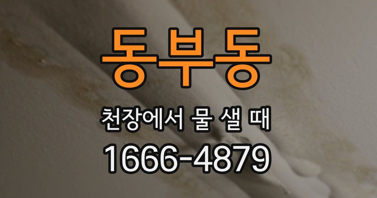 동부동 천장에서 물 샐 때