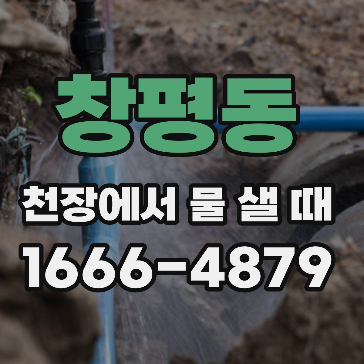창평동 천장에서 물 샐 때