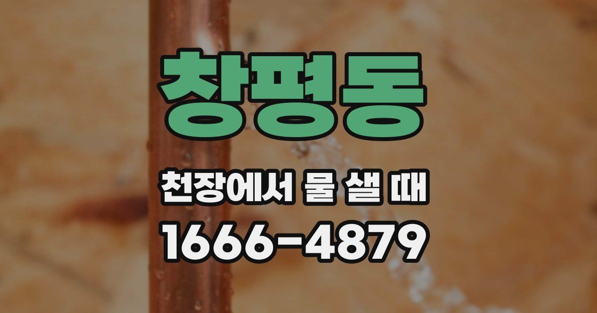 창평동 천장에서 물 샐 때