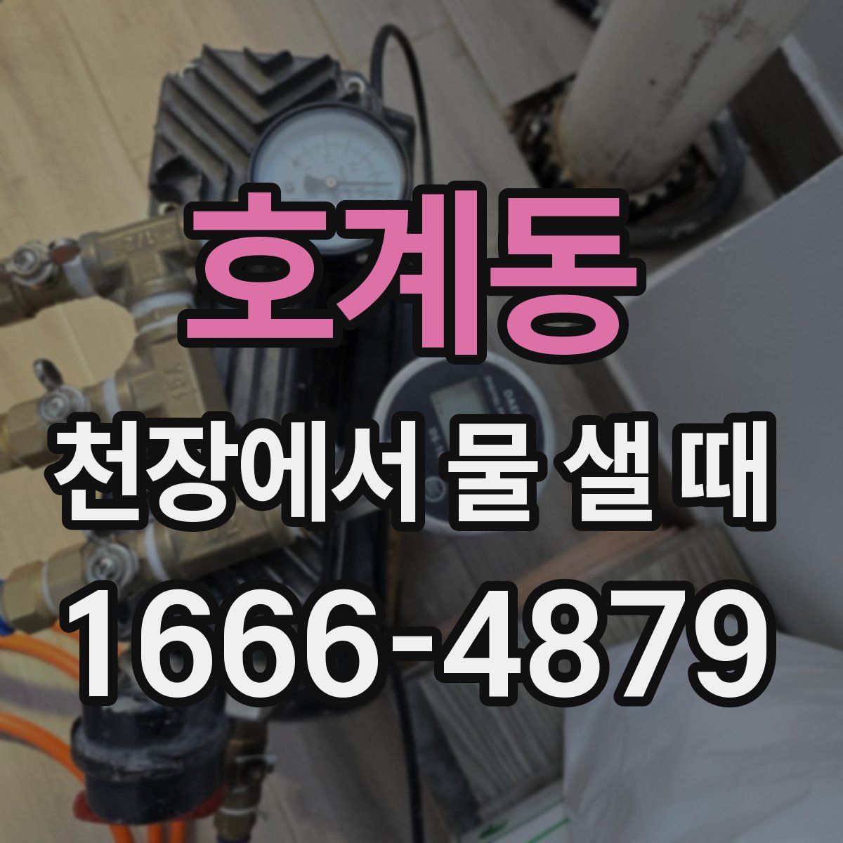 호계동 천장에서 물 샐 때