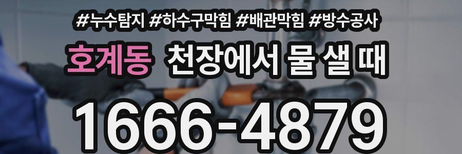 호계동 천장에서 물 샐 때