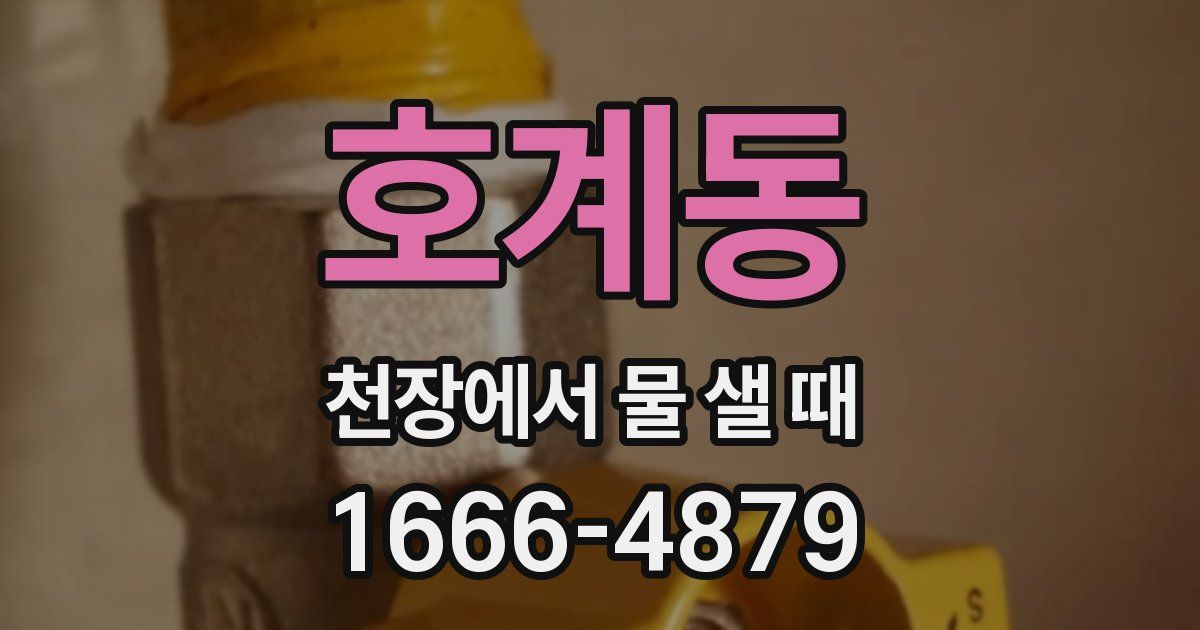 호계동 천장에서 물 샐 때