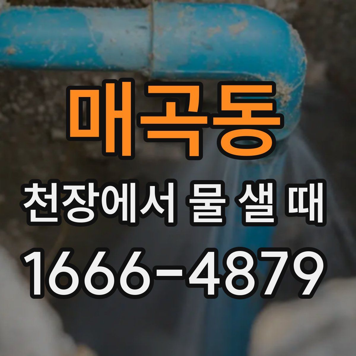 매곡동 천장에서 물 샐 때