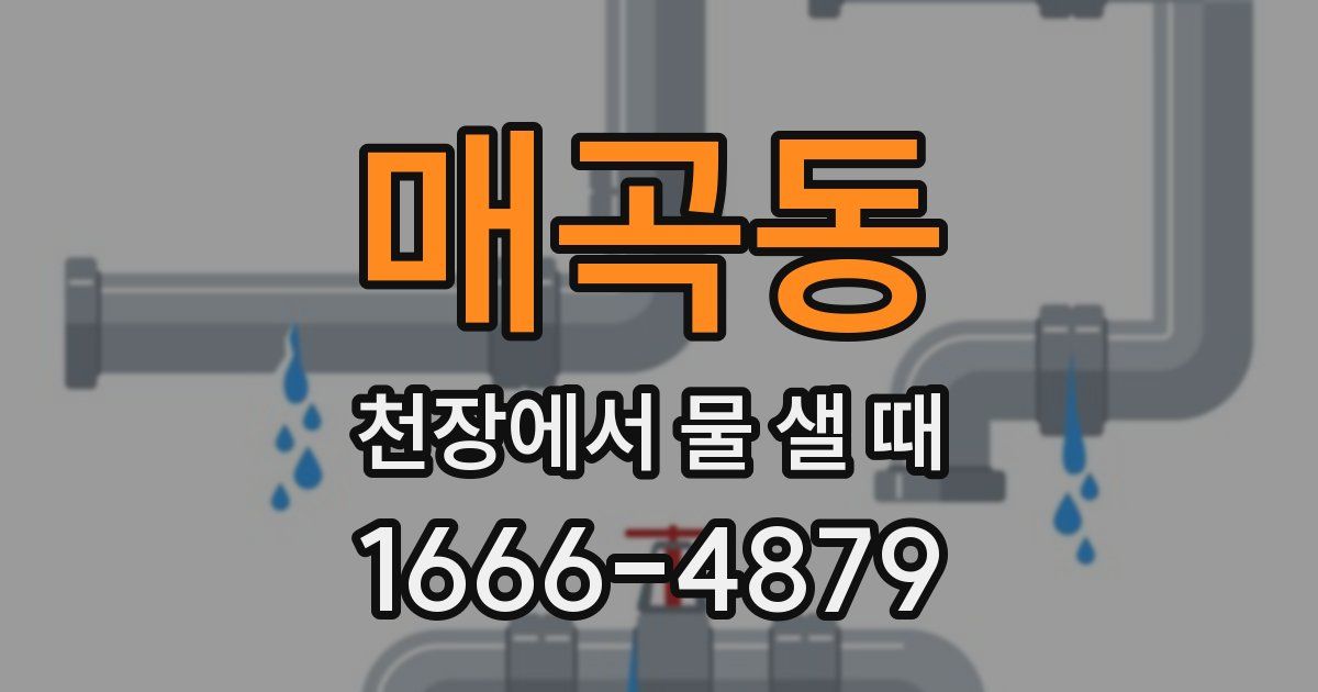 매곡동 천장에서 물 샐 때