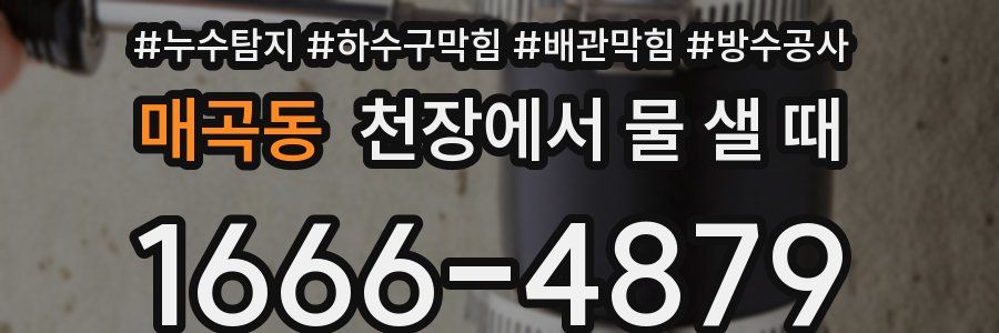 매곡동 천장에서 물 샐 때